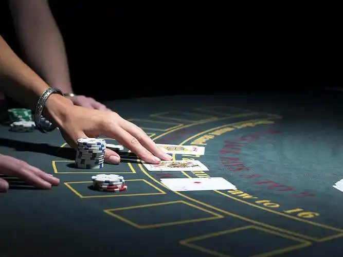 lotosport bet