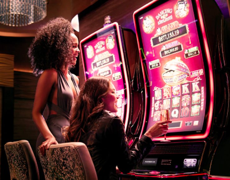 lotosport bet